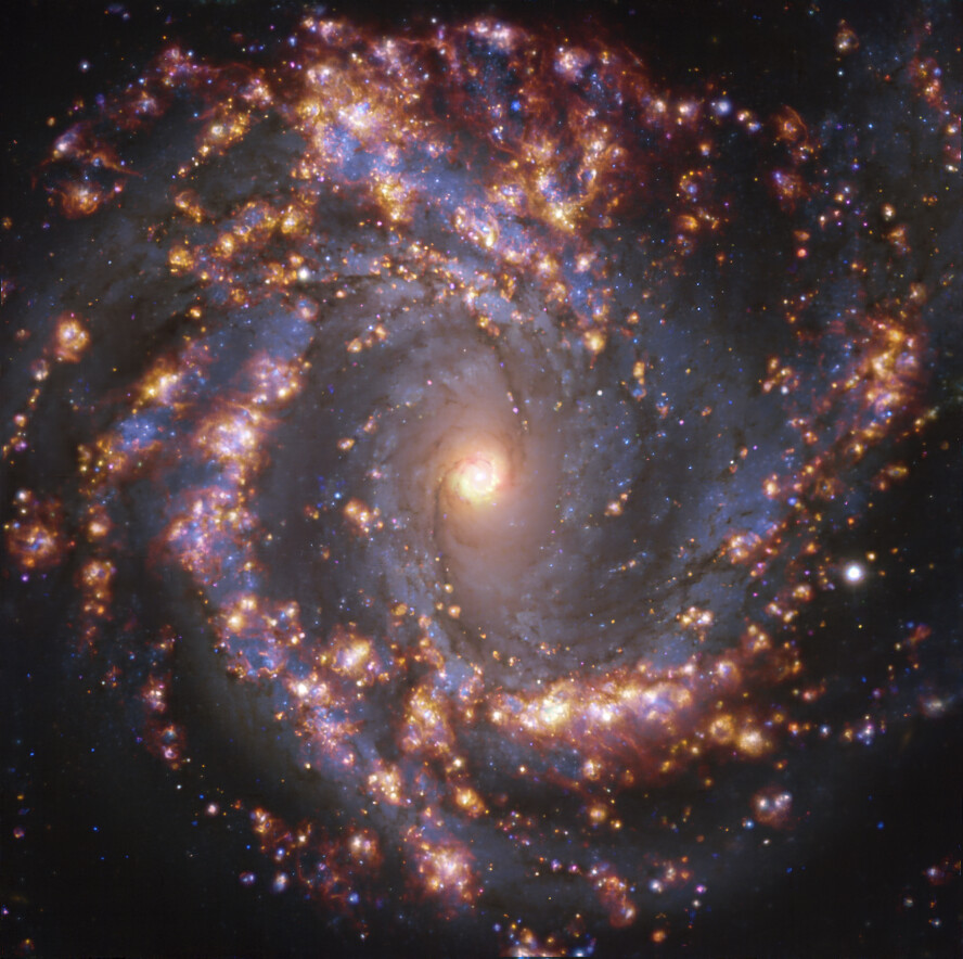 This image, taken by the Multi-Unit Spectroscopic Explorer (MUSE) on ESO’s Very Large Telescope (VLT), shows the nearby galaxy NGC 4303. NGC 4303 is a spiral galaxy, with a bar of stars and gas at its centre, located approximately 55 million light-years from Earth in the constellation Virgo. The image is an overlay of observations conducted at different wavelengths of light to map stellar populations and warm gas. The golden glows mainly correspond to clouds of ionised hydrogen, oxygen and sulphur gas, marking the presence of newly born stars, while the bluish regions in the background reveal the distribution of slightly older stars.   The image was taken as part of the Physics at High Angular resolution in Nearby GalaxieS (PHANGS) project, which is making high-resolution observations of nearby galaxies with telescopes operating across the electromagnetic spectrum. Credit: ESO/PHANGS