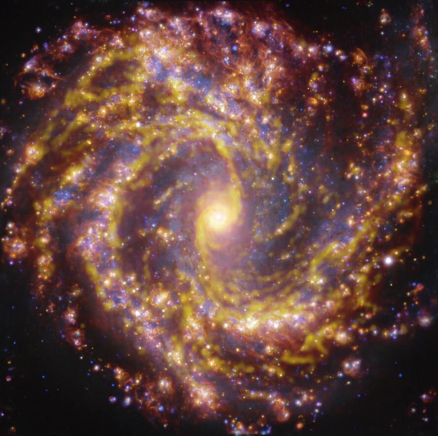 This image of the nearby galaxy NGC 4303 was obtained by combining observations taken with the Multi-Unit Spectroscopic Explorer (MUSE) on ESO’s Very Large Telescope (VLT) and with the Atacama Large Millimeter/submillimeter Array (ALMA), in which ESO is a partner. NGC 4303 is a spiral galaxy, with a bar of stars and gas at its centre, located approximately 55 million light-years from Earth in the constellation Virgo. The image is a combination of observations conducted at different wavelengths of light to map stellar populations and gas. ALMA’s observations are represented in brownish-orange tones and highlight the clouds of cold molecular gas that provide the raw material from which stars form. The MUSE data show up mainly in gold and blue. The bright golden glows map warm clouds of mainly ionised hydrogen, oxygen and sulphur gas, marking the presence of newly born stars, while the bluish regions reveal the distribution of slightly older stars.    The image was taken as part of the Physics at High Angular resolution in Nearby GalaxieS (PHANGS) project, which is making high-resolution observations of nearby galaxies with telescopes operating across the electromagnetic spectrum. Credit: ESO/ALMA (ESO/NAOJ/NRAO)/PHANGS