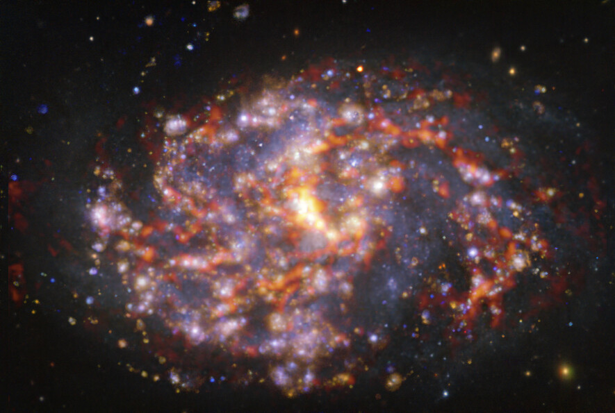 This image of the nearby galaxy NGC 1087 was obtained by combining observations taken with the Multi-Unit Spectroscopic Explorer (MUSE) on ESO’s Very Large Telescope (VLT) and with the Atacama Large Millimeter/submillimeter Array (ALMA), in which ESO is a partner. NGC 1087 is a spiral galaxy located approximately 80 million light-years from Earth in the constellation Cetus. The image is a combination of observations conducted at different wavelengths of light to map stellar populations and gas. ALMA’s observations are represented in brownish-orange tones and highlight the clouds of cold molecular gas that provide the raw material from which stars form. The MUSE data show up mainly in gold and blue. The bright golden glows map warm clouds of mainly ionised hydrogen, oxygen and sulphur gas, marking the presence of newly born stars, while the bluish regions reveal the distribution of slightly older stars. The image was taken as part of the Physics at High Angular resolution in Nearby GalaxieS (PHANGS) project, which is making high-resolution observations of nearby galaxies with telescopes operating across the electromagnetic spectrum. Credit: ESO/ALMA (ESO/NAOJ/NRAO)/PHANGS