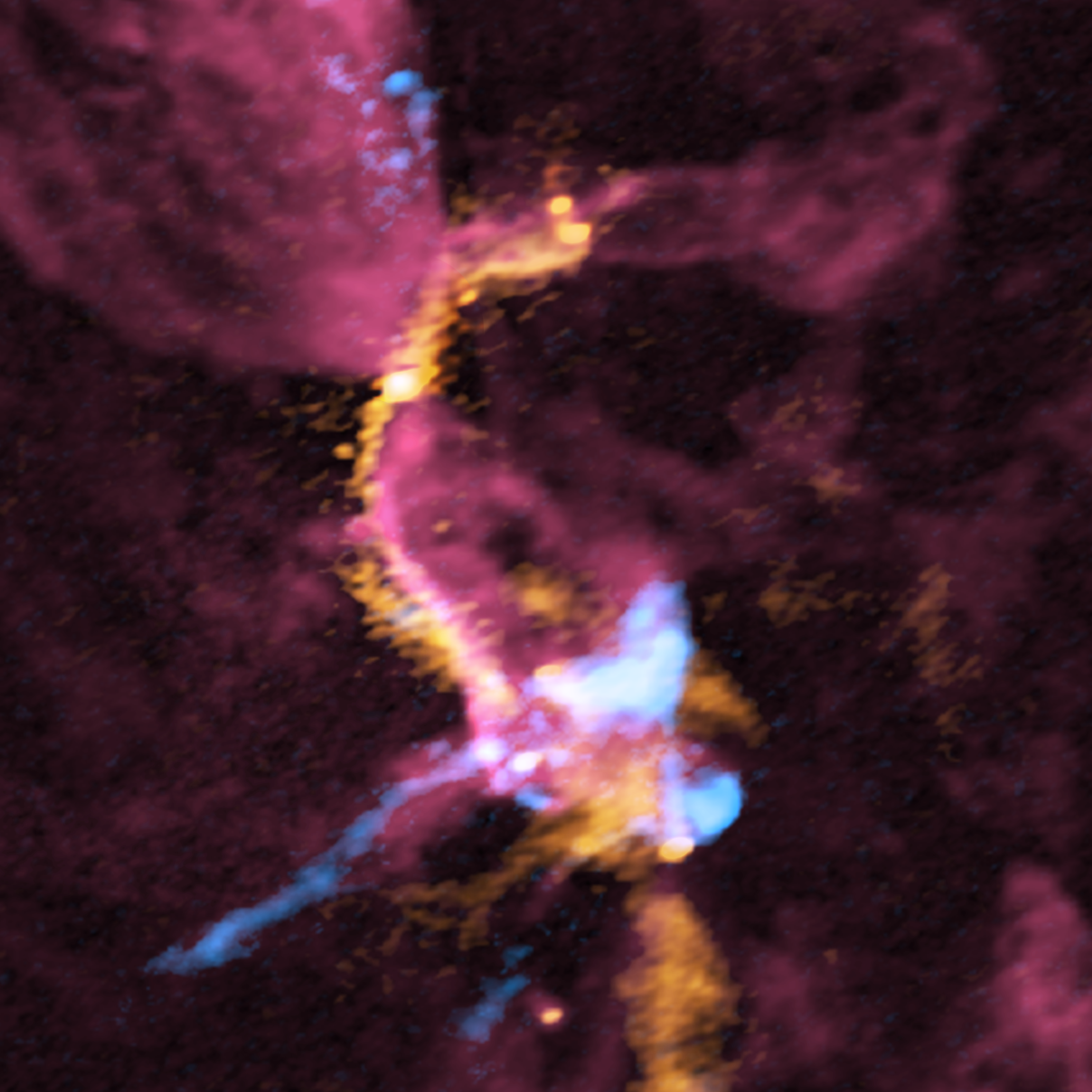 Composite image of the cluster forming region, OMC-2/ FIR 3 and FIR 4, obtained with ALMA (red: carbon monoxide gas, orange: emission from the dust, blue: silicon monoxide gas). For each color, the stronger the radio wave intensity, the more whitish the color is. FIR 3 is located in the upper left of this image, while FIR 4 is located in the bottom right. The giant molecular outflow driven by the protostar in the FIR 3 region (red color) collides with the “filamentary molecular cloud” (orange color). Subsequently, outflow gas interacting with the filamentary molecular cloud is being compressed (shown in pinkish red). The outflow gas also collides with downstream dense gas (shown in orange color) where a group of baby stars is being born (green circles within the FIR 4 region). The shock layers are observed with the silicon monoxide gas (pale blue). The white bar in the lower right corner shows the scale of 4000 astronomical units (au). Credit: ALMA (ESO/NAOJ/NRAO), A. Sato et al.