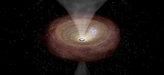 Dense molecular gas disks drive the growth of supermassive black holes