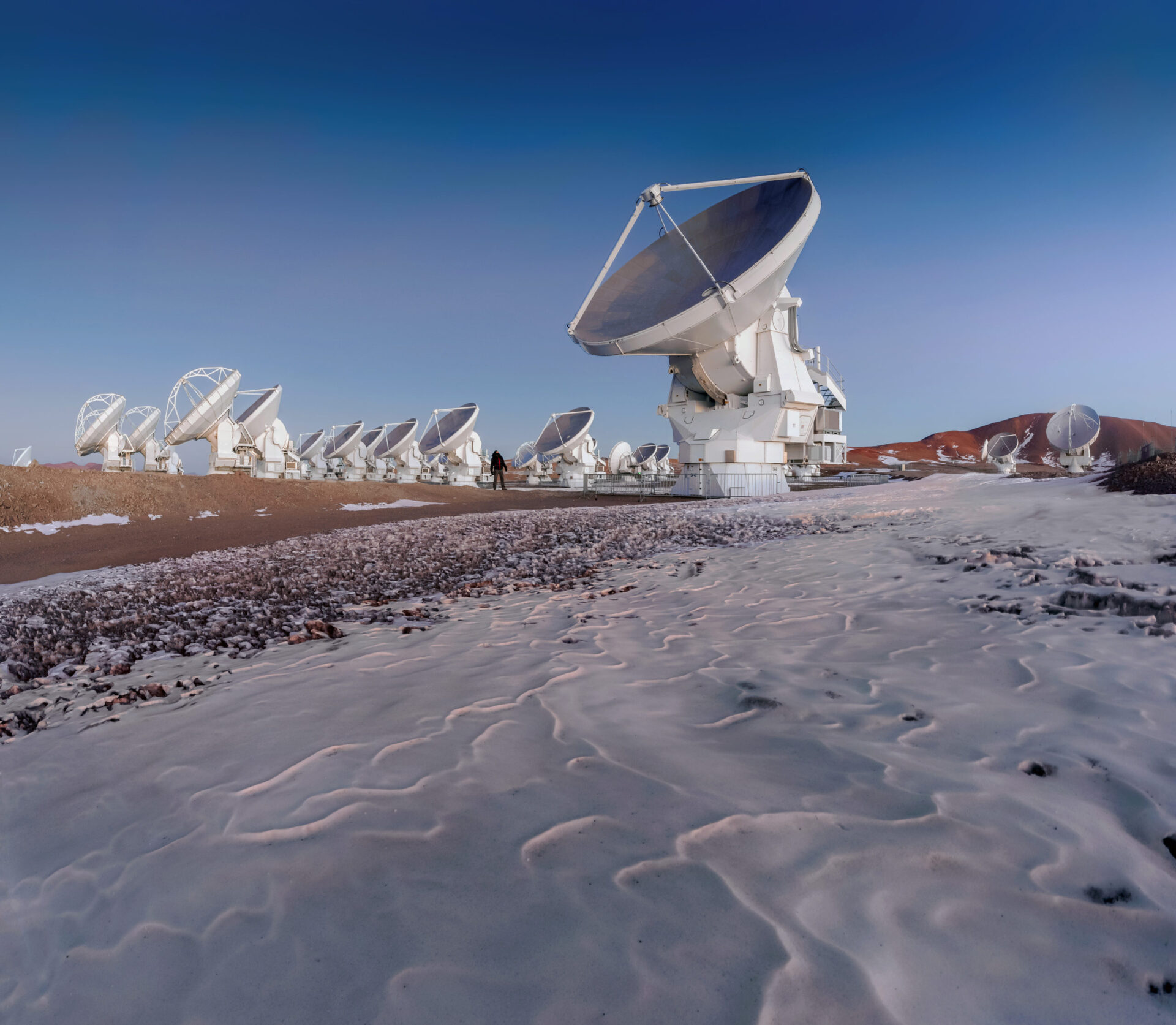 El duro ambiente del desierto de Atacama es árido y frío.