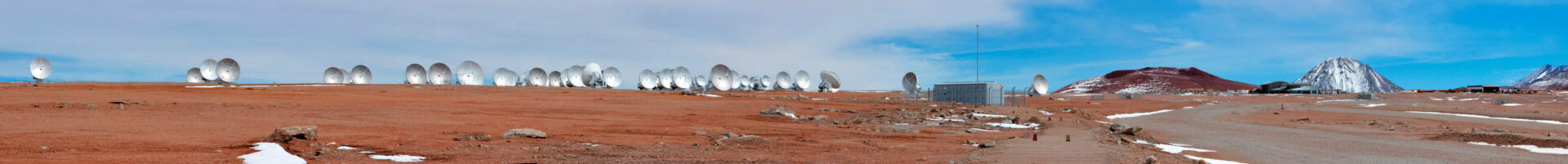 A herd of ALMA antennas