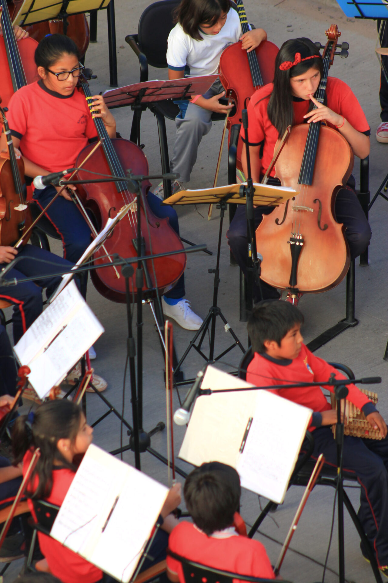 Orquesta Sinfónica de San Pedro