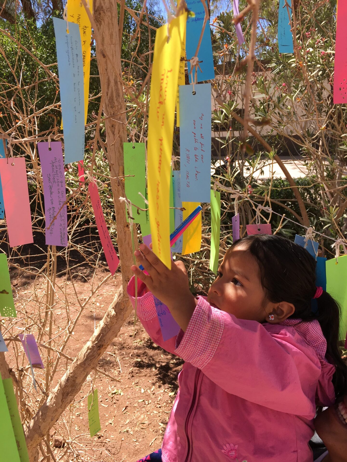 The Japanese Tanabata Festival