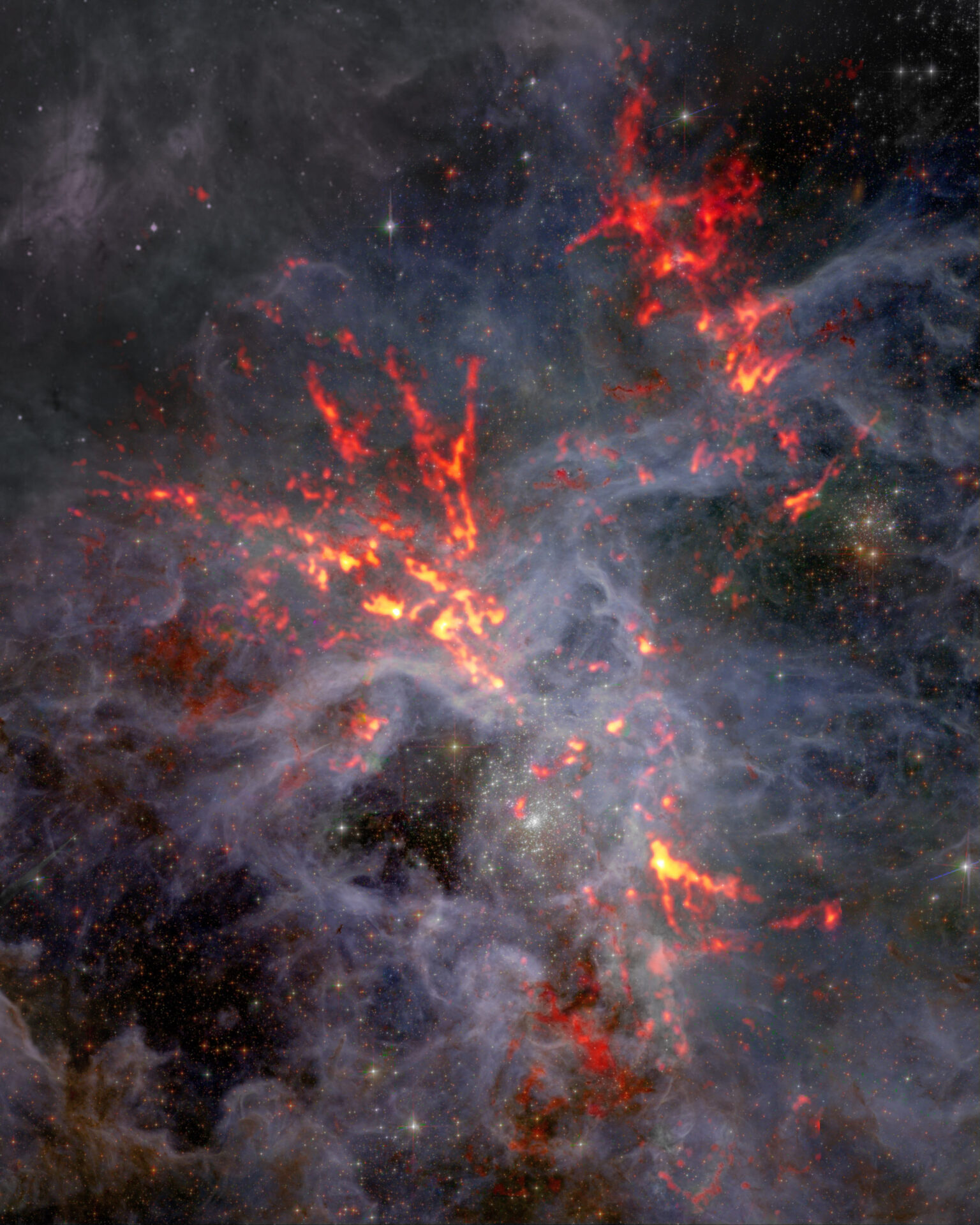 <p>30 Doradus is a large star-forming region located in the heart of the Tarantula Nebula. Shown here in composite, the red/orange millimeter-wavelength data from the Atacama Large Millimeter/submillimeter Array (ALMA) stands out like stringlike filaments against optical data from the Hubble Space Telescope (HST). Scientists studying 30 Dor discovered that despite intense stellar feedback— which is known to moderate or decrease the birth rate of stars— gravity continues to shape the region, giving rise to star formation. Credit: ALMA (ESO/NAOJ/NRAO), T. Wong (U. Illinois, Urbana-Champaign); S. Dagnello (NRAO/AUI/NSF)</p>
