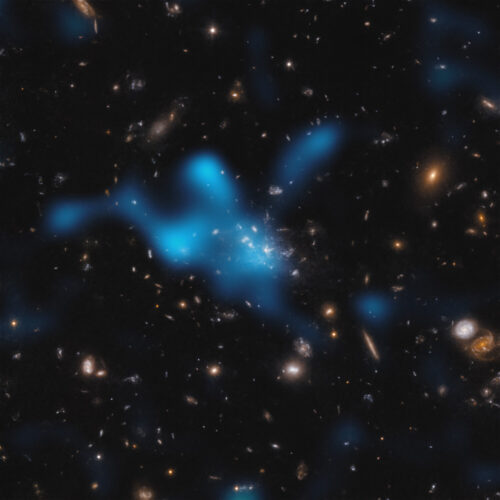 The ALMA image of the Sunyaev-Zeldovich effect (in blue) in the cluster containing the Spiderweb Galaxy (MRC 1138-262) overlaid on a Hubble Space Telescope image of the cluster.  Credit: ESO/Di Mascolo et al.; HST: H. Ford.