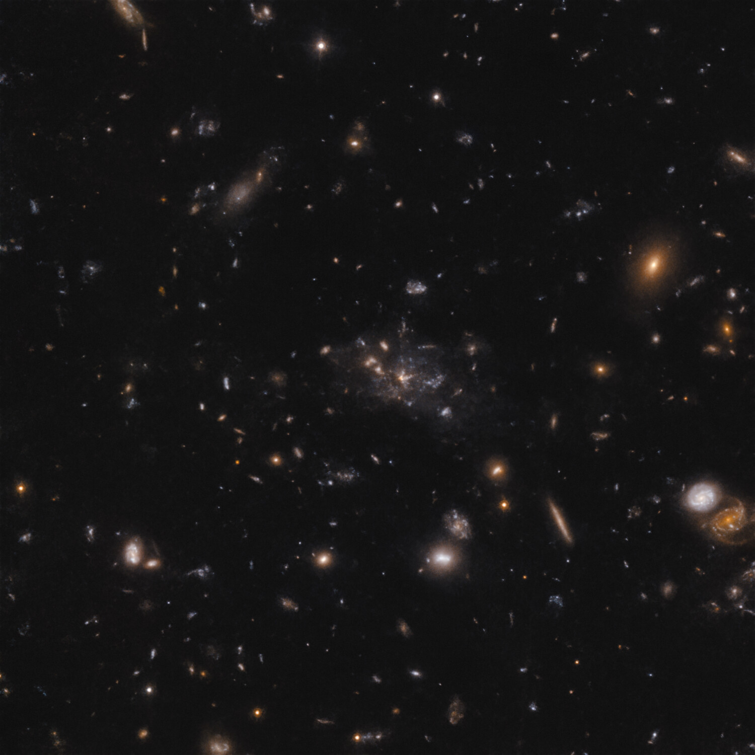 Esta imagen muestra el protocúmulo que rodea a la galaxia Telaraña (formalmente conocida como MRC 1138-262). La luz que vemos en la imagen muestra galaxias en un momento en que el universo tenía solo 3 000 millones de años. La mayor parte de la masa del protocúmulo no se encuentra en las galaxias, sino en el gas conocido como el “medio intracúmulo”. Debido a la masa del gas, el protocúmulo está en proceso de convertirse en un cúmulo masivo unido por su propia gravedad. Crédito: ESO/H. Ford