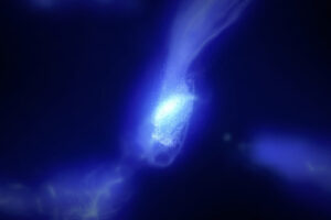 Simulación de formación estelar de la galaxia MACS1149-JD1