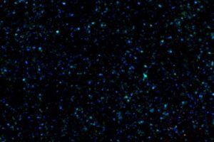 Fusión de galaxias en el universo primitivo capturadas con ALMA.