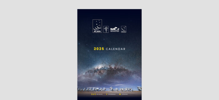 2025 Calendar